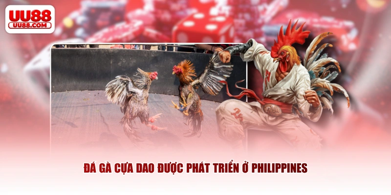 Đá gà cựa dao được phát triển ở Philippines