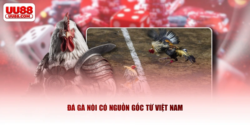 Đá gà nòi có nguồn gốc từ Việt Nam